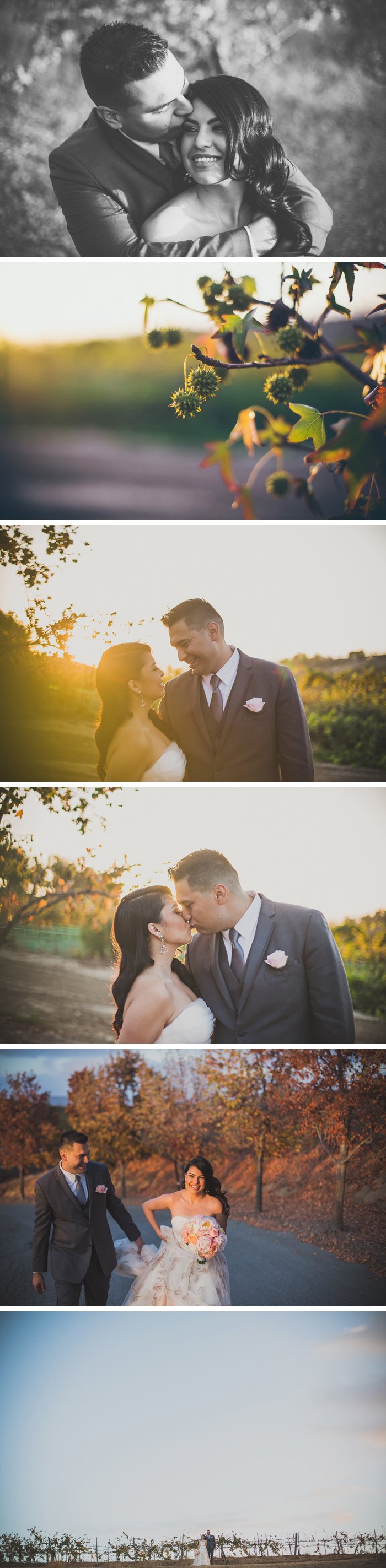 Bel Vino Winery Wedding Photos Temecula