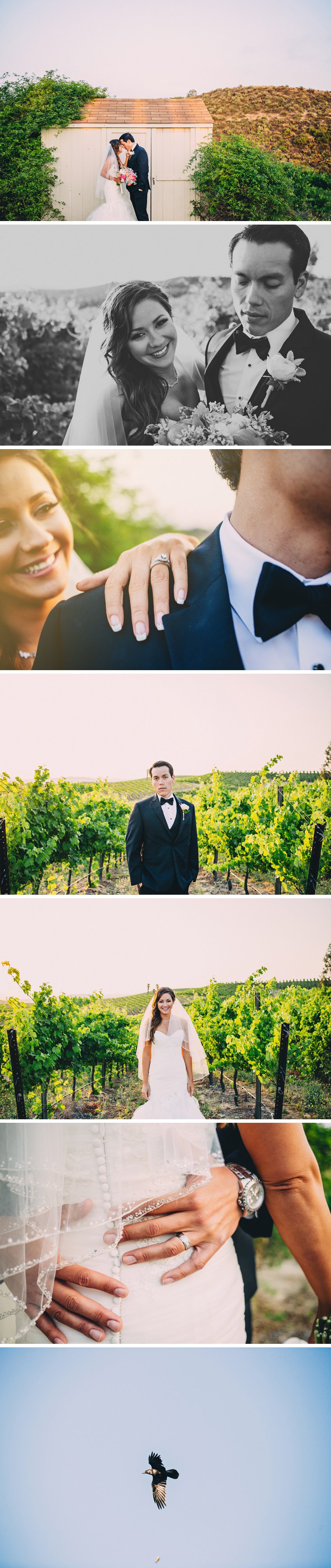 FalknerWeddingPhotos12