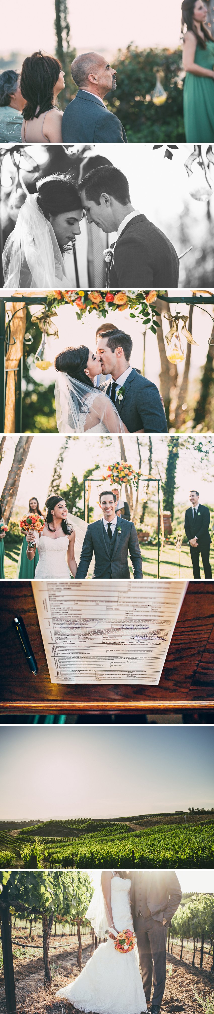 FalknerWineryWedding10