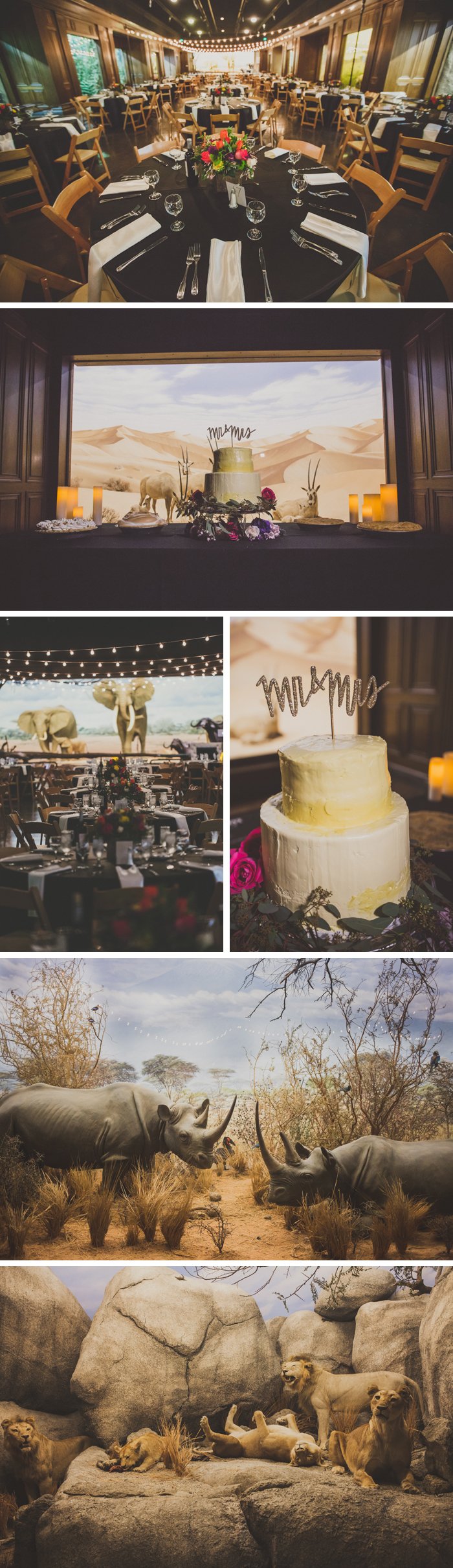 natural history museum wedding photos LA