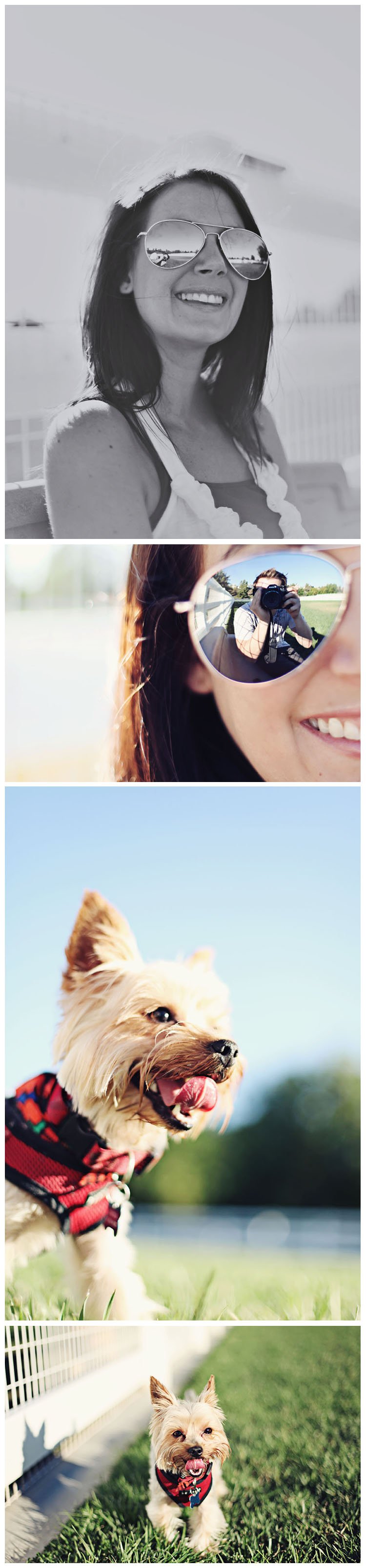 Temecula_Dog_Park_Collage3