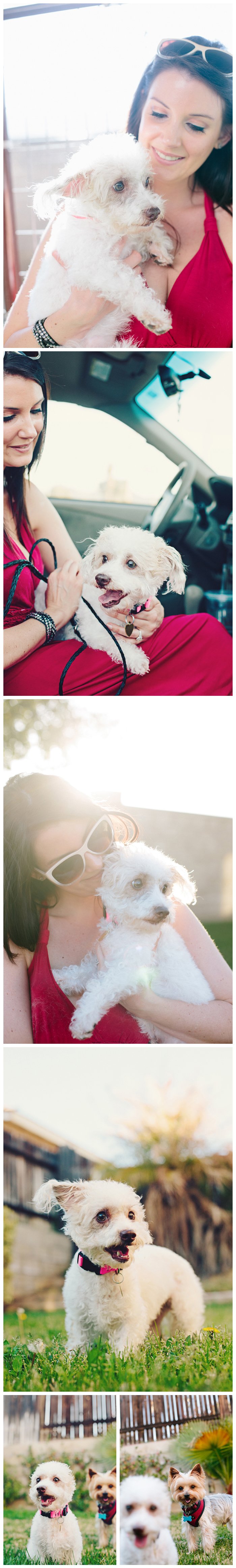 animalfriendsofthevalley