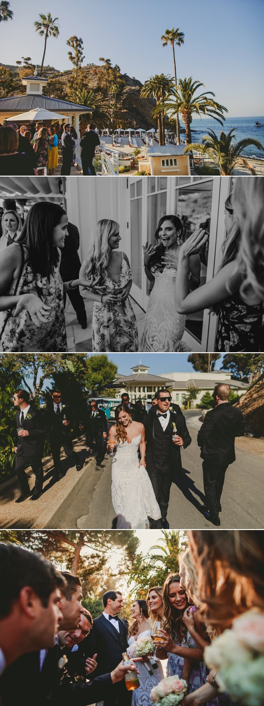 Catalina Island Wedding Photos