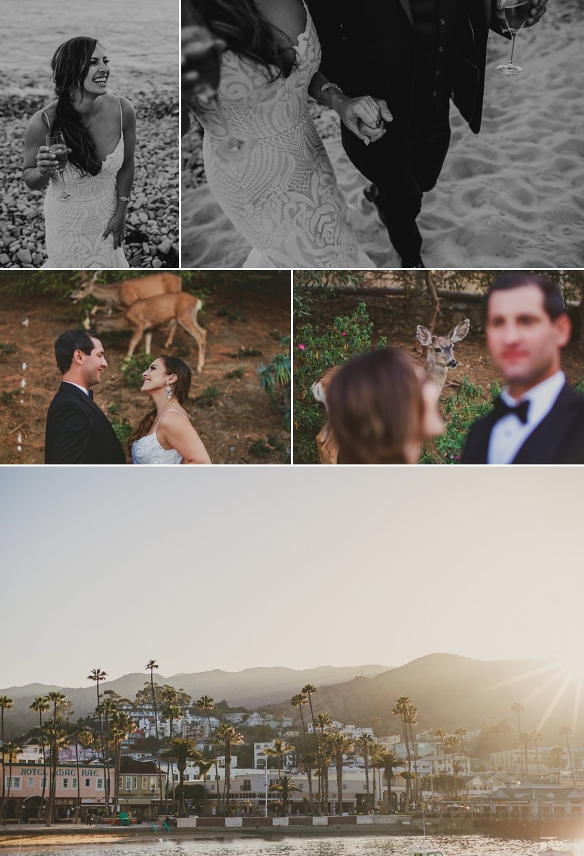 Catalina Island Wedding Photos