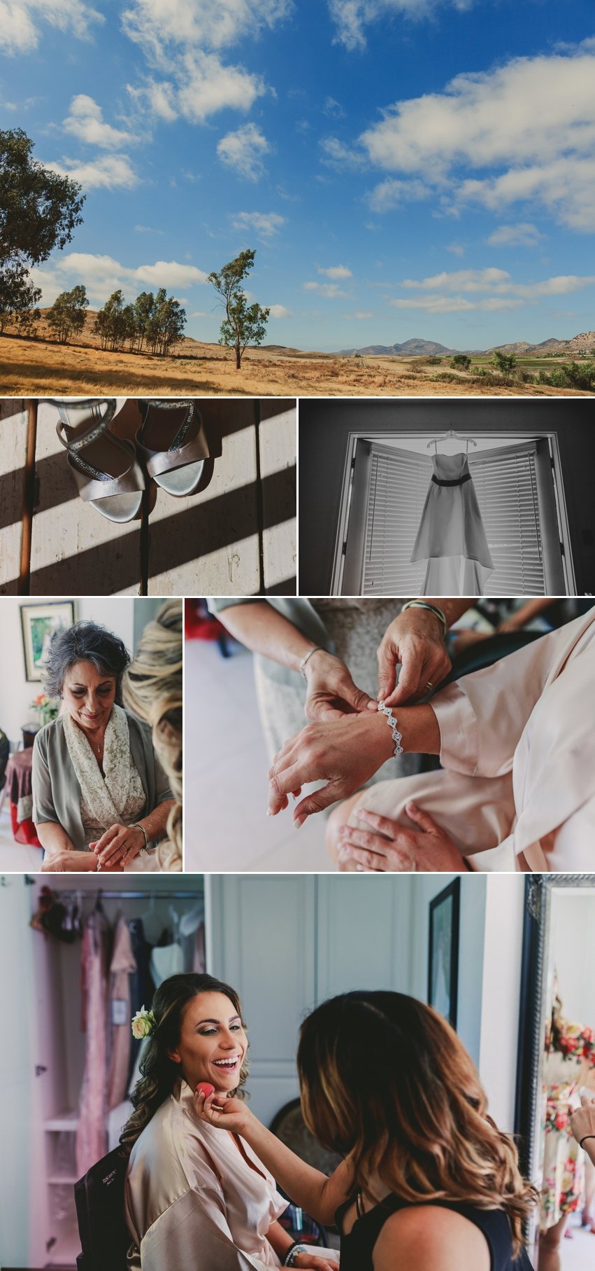 Chapin Family Vineyard Wedding