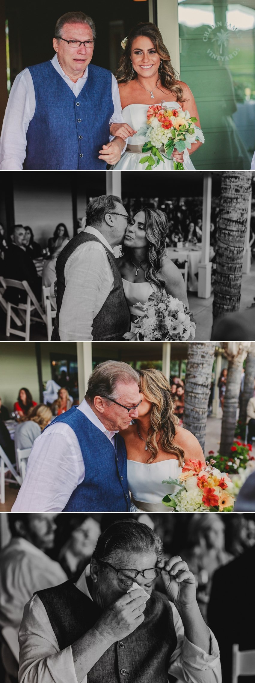 Chapin Family Vineyard Wedding