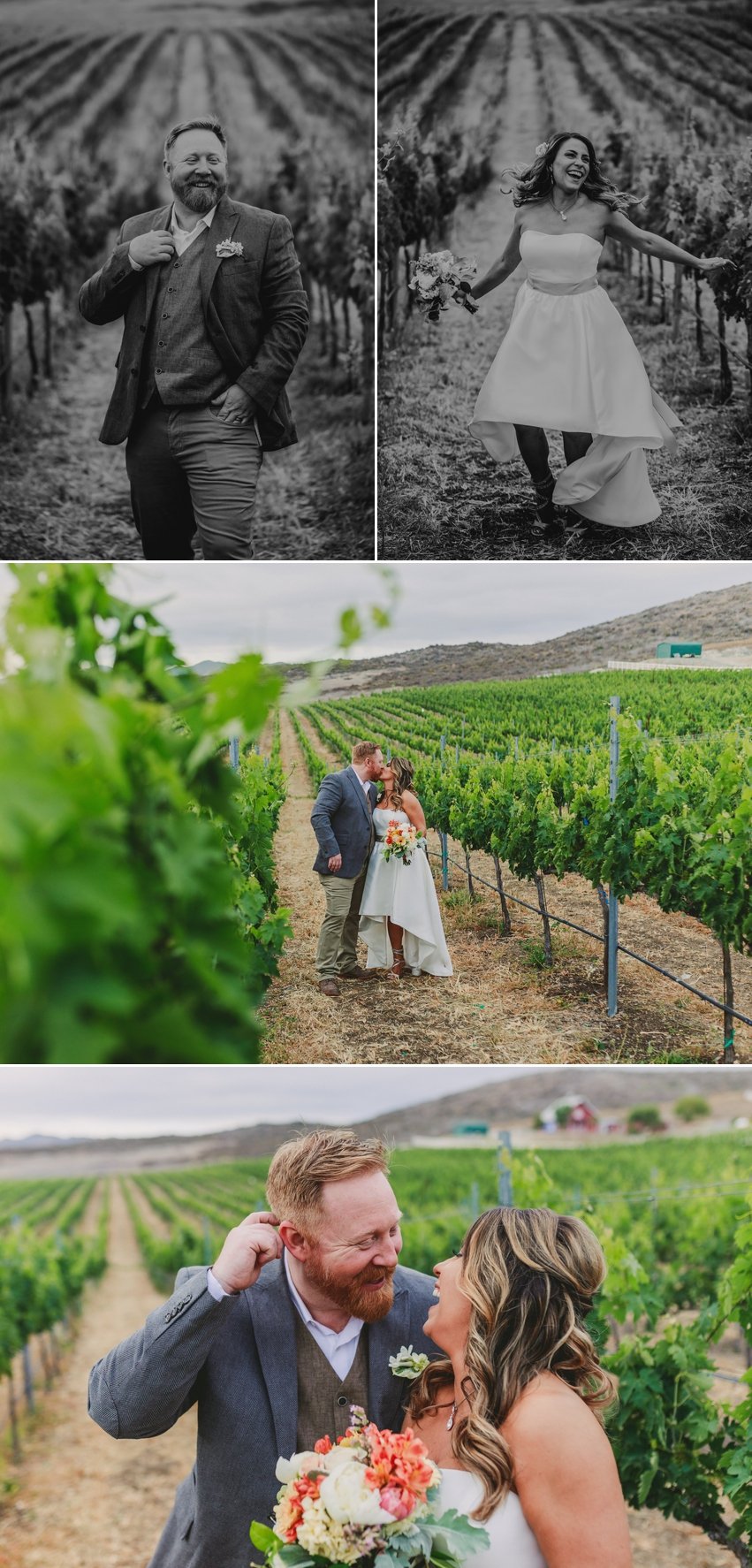 Chapin Family Vineyard Wedding