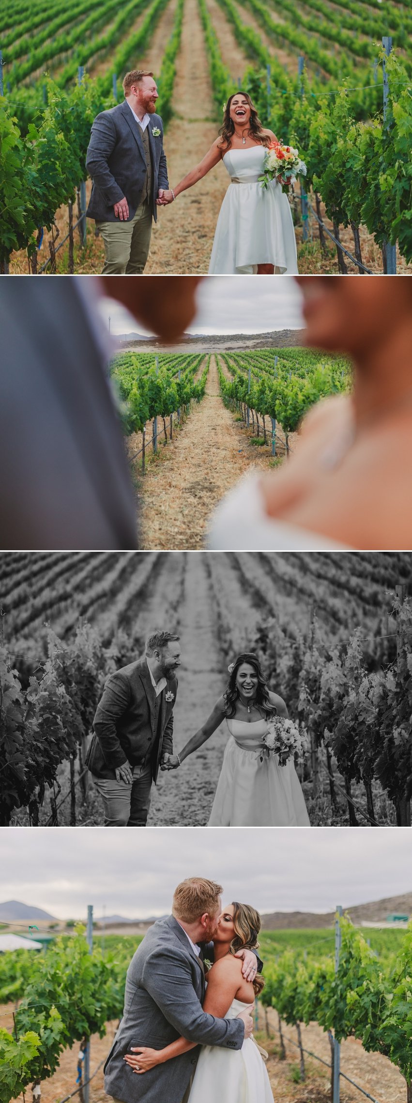 Chapin Family Vineyard Wedding