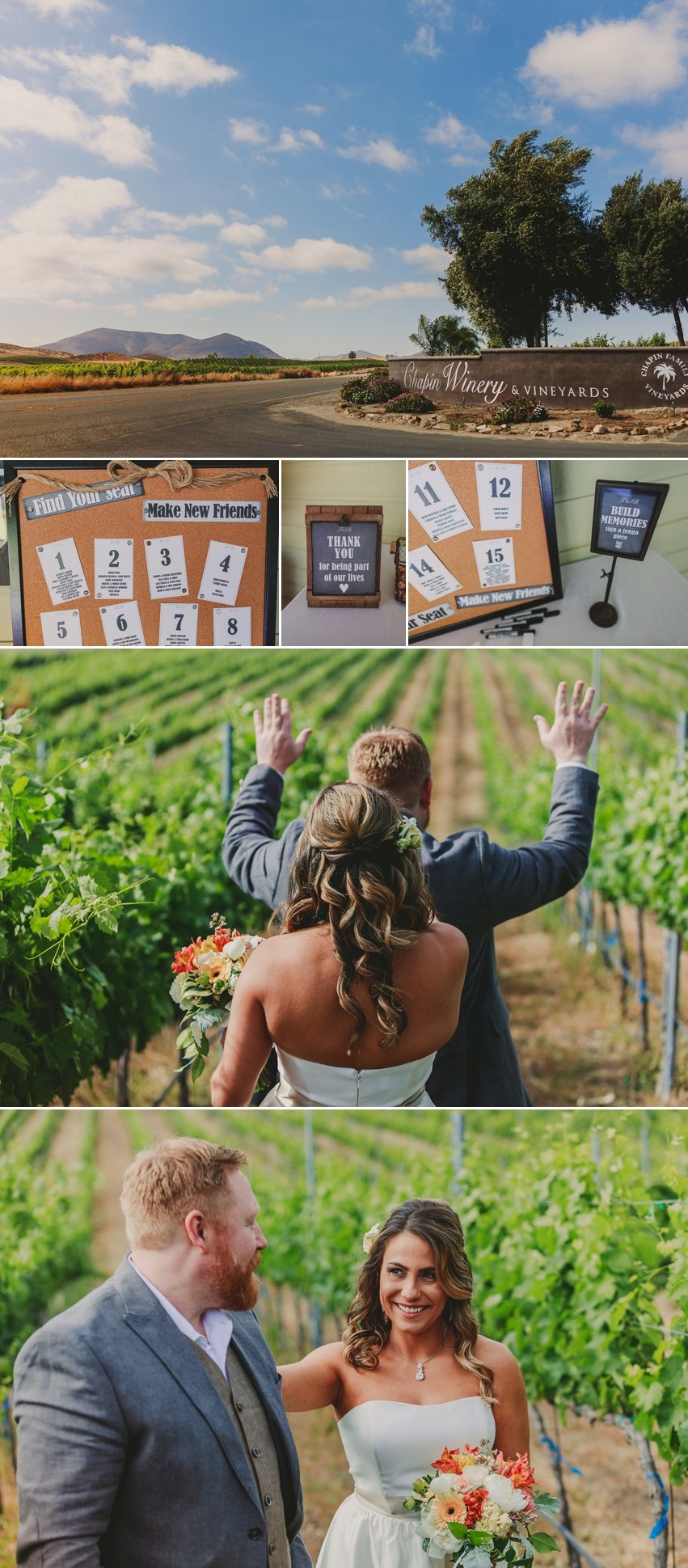 Chapin Family Vineyard Wedding