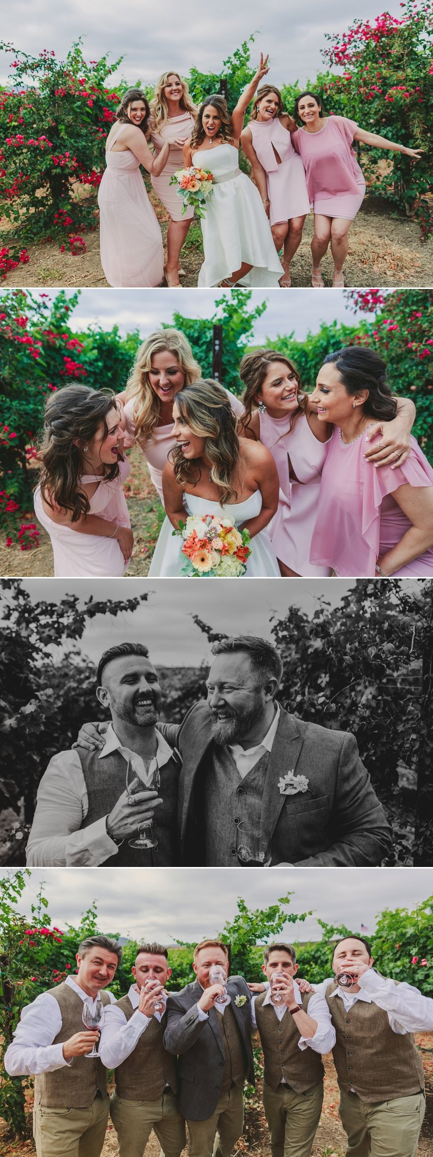 Chapin Family Vineyard Wedding