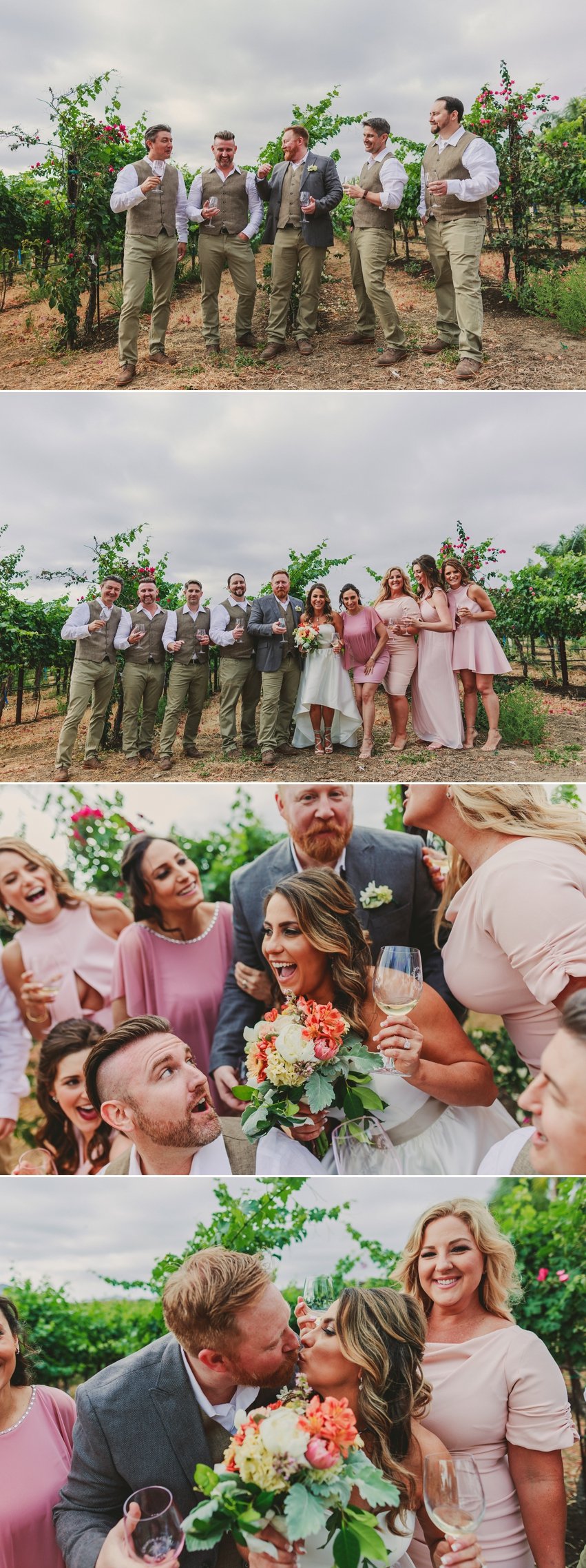 Chapin Family Vineyard Wedding