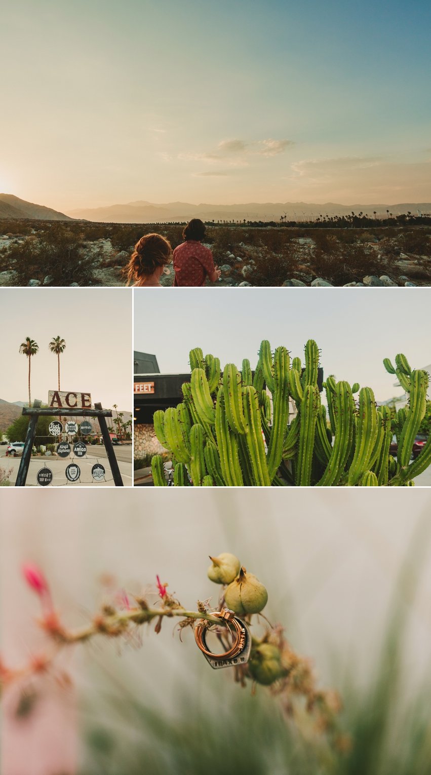 Elope In Palm Springs