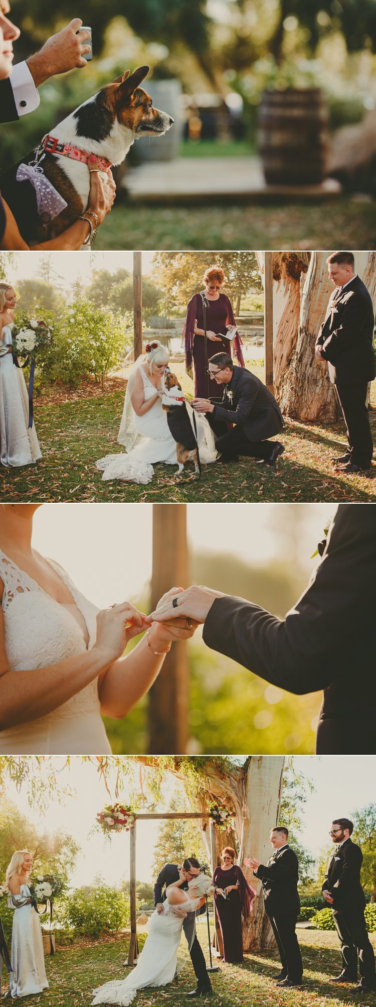 Galway Downs Wedding