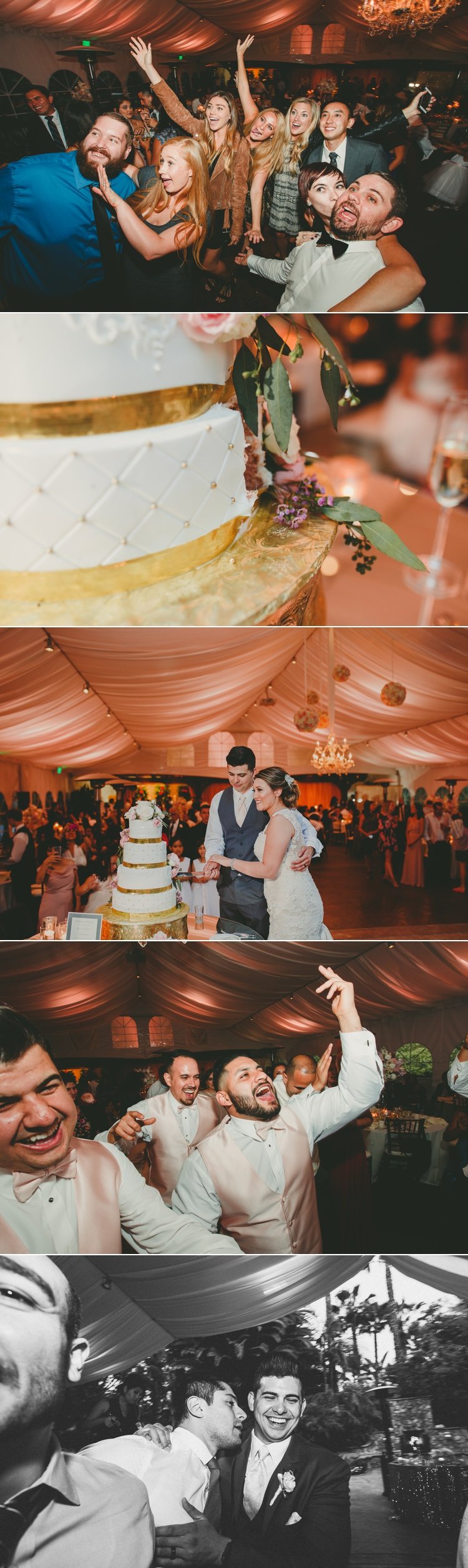 Grand Tradition Wedding Photos