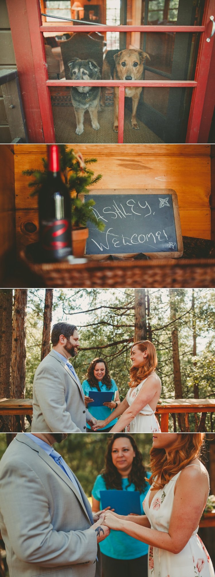 Eloping In Idyllwild
