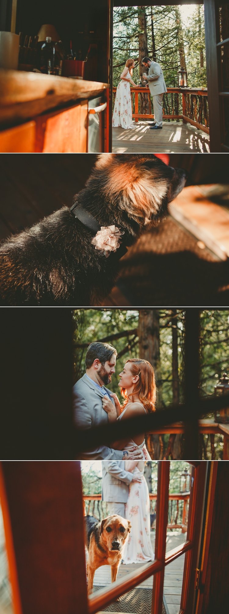 Eloping In Idyllwild