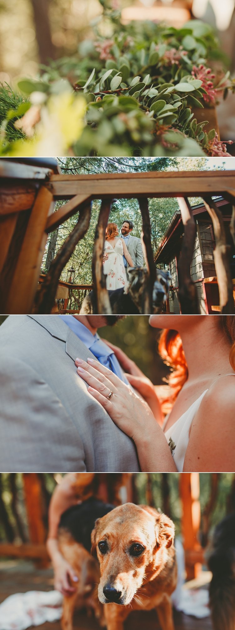 Eloping In Idyllwild