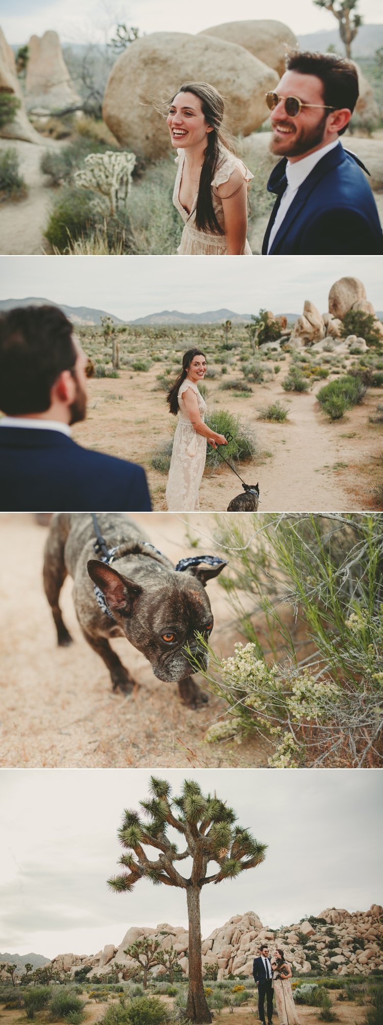 Elopement Photos In Joshua Tree