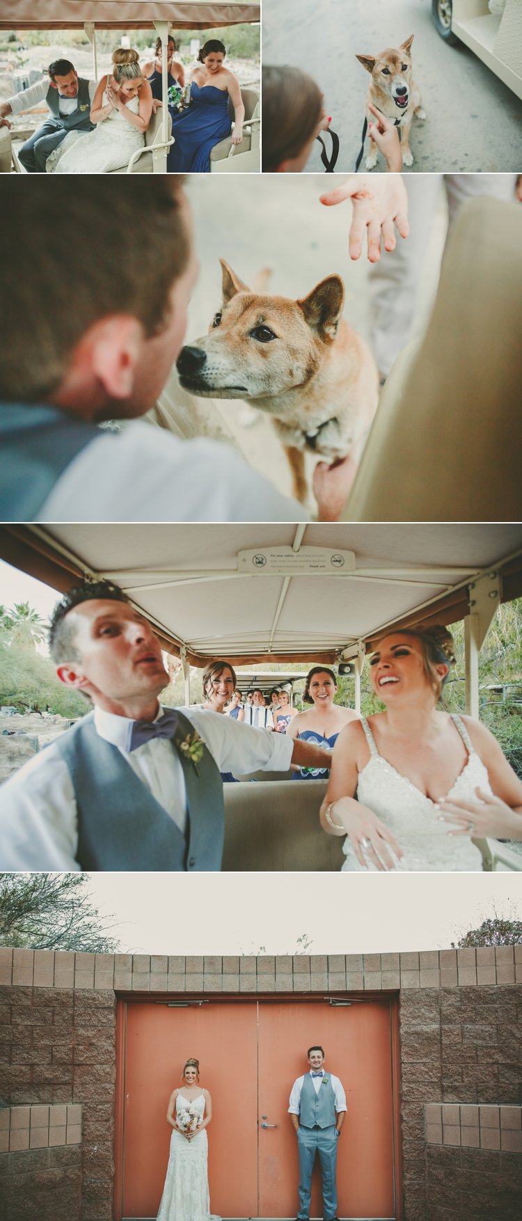 living-desert-zoo-wedding-photos-13