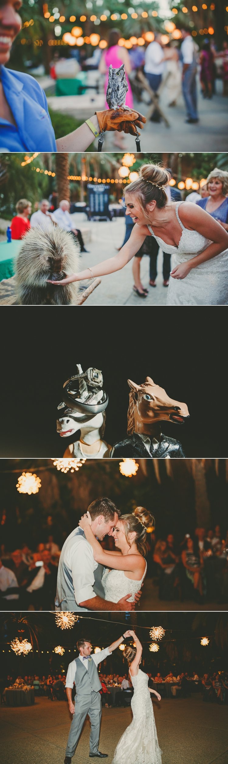 living-desert-zoo-wedding-photos-18