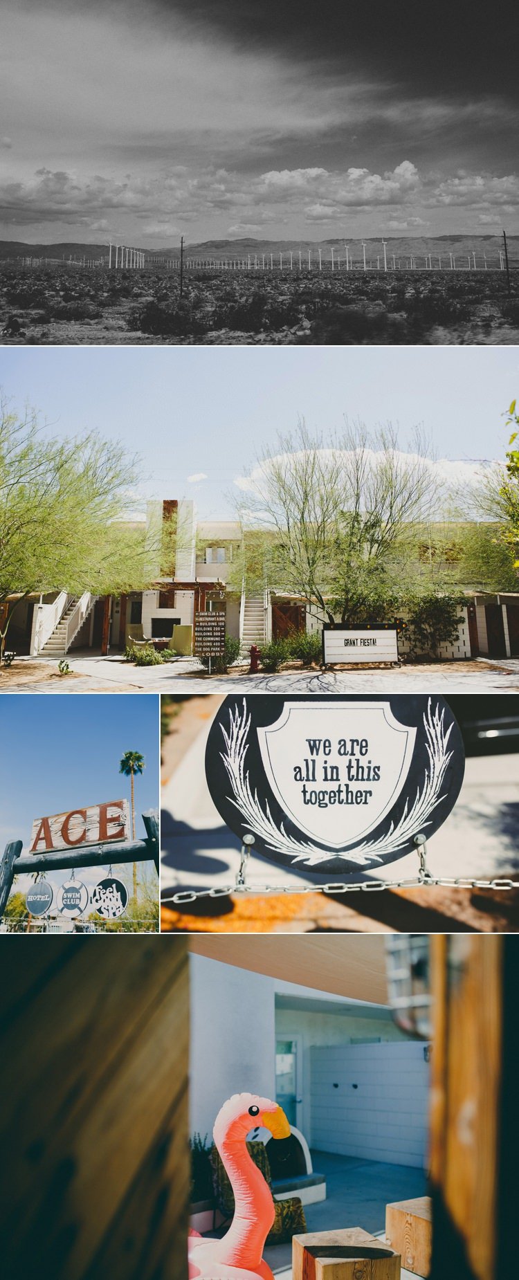 Moorten Botanical Garden Wedding Photos