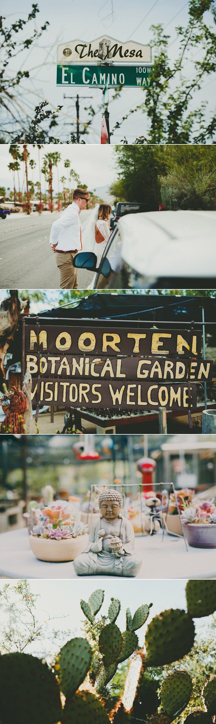 Moorten Botanical Garden Wedding Photos