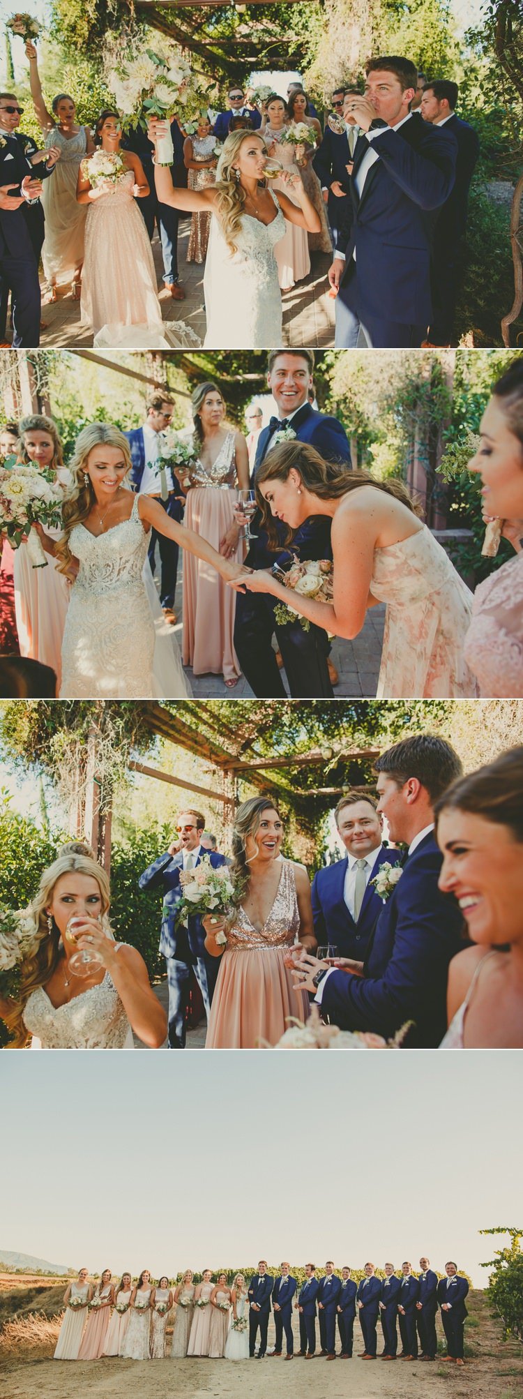 Mount Palomar Wedding Temecula