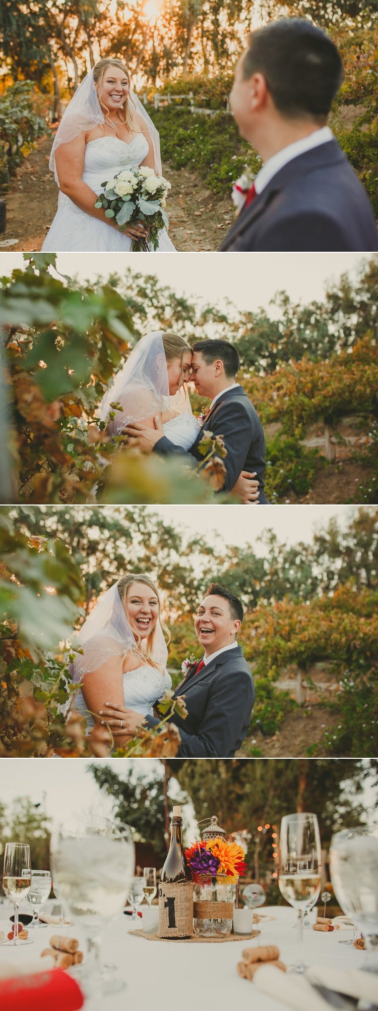 Gay Temecula Wedding