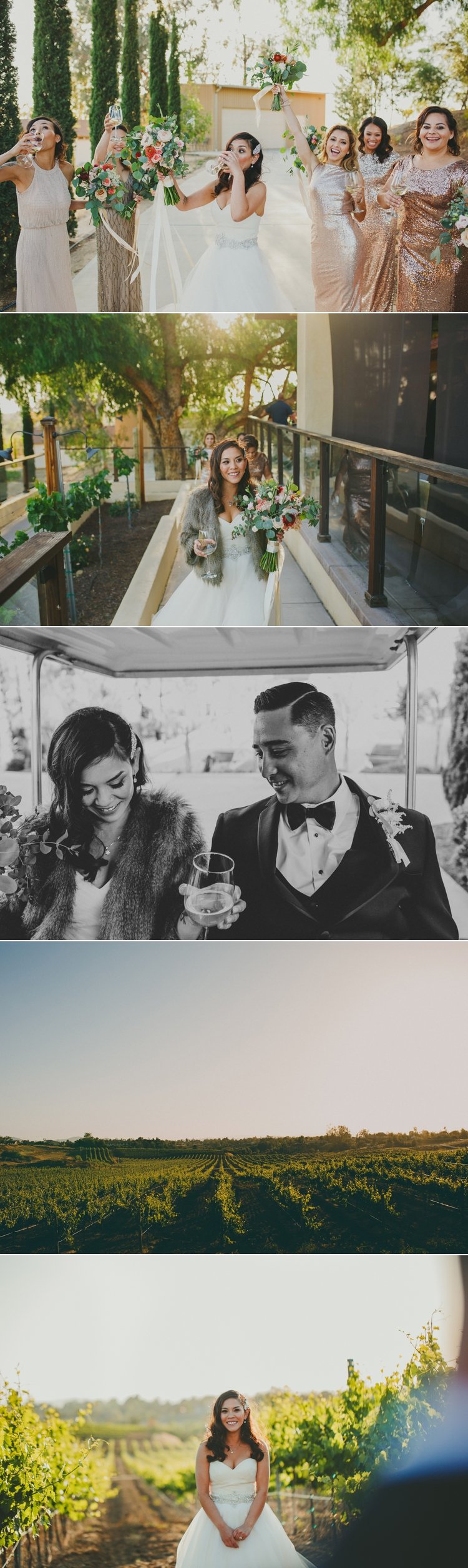 Danza Del Sol Winery Wedding