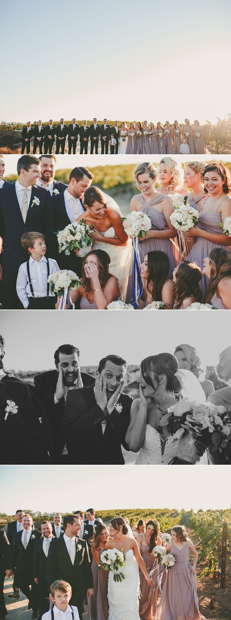 Wedding Photos Mount Palomar Winery Temecula