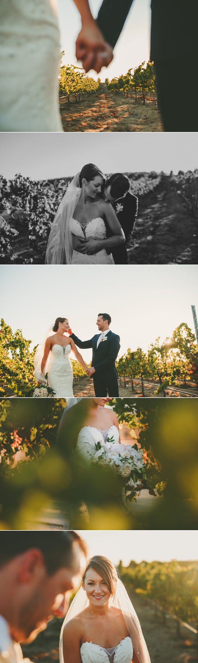 Wedding Photos Mount Palomar Winery Temecula
