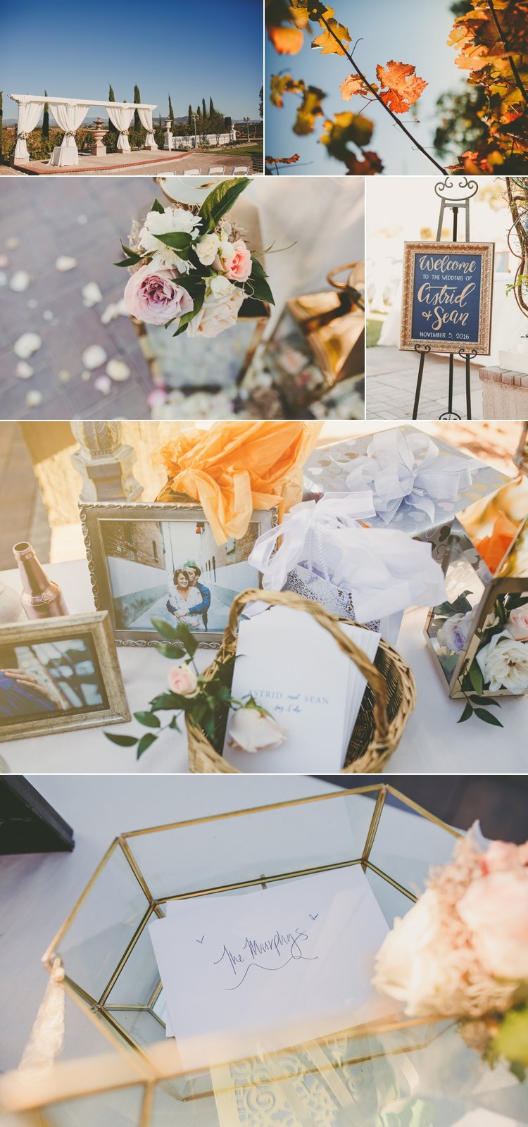 Wedding Photos Mount Palomar Winery